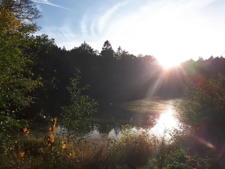 回程的還很亮夕陽