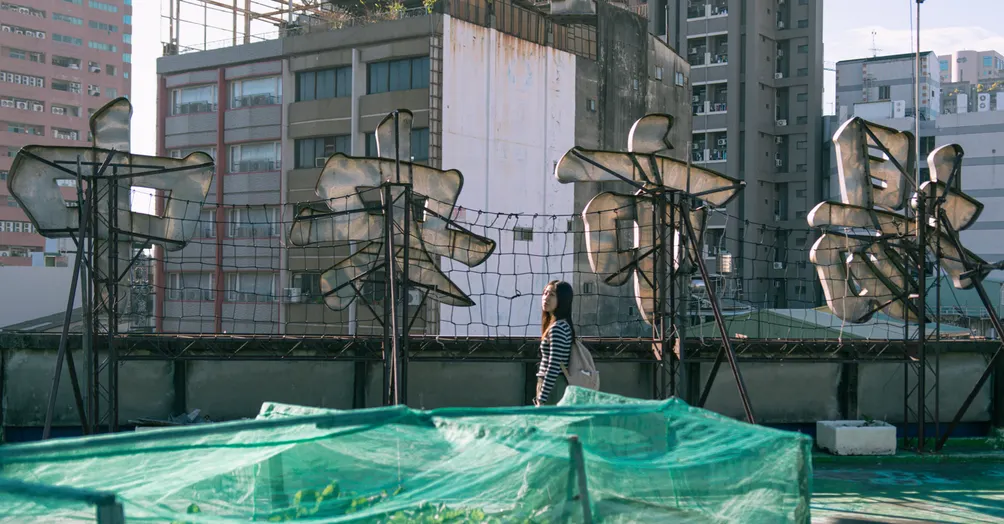 離子燙浪貓的時空