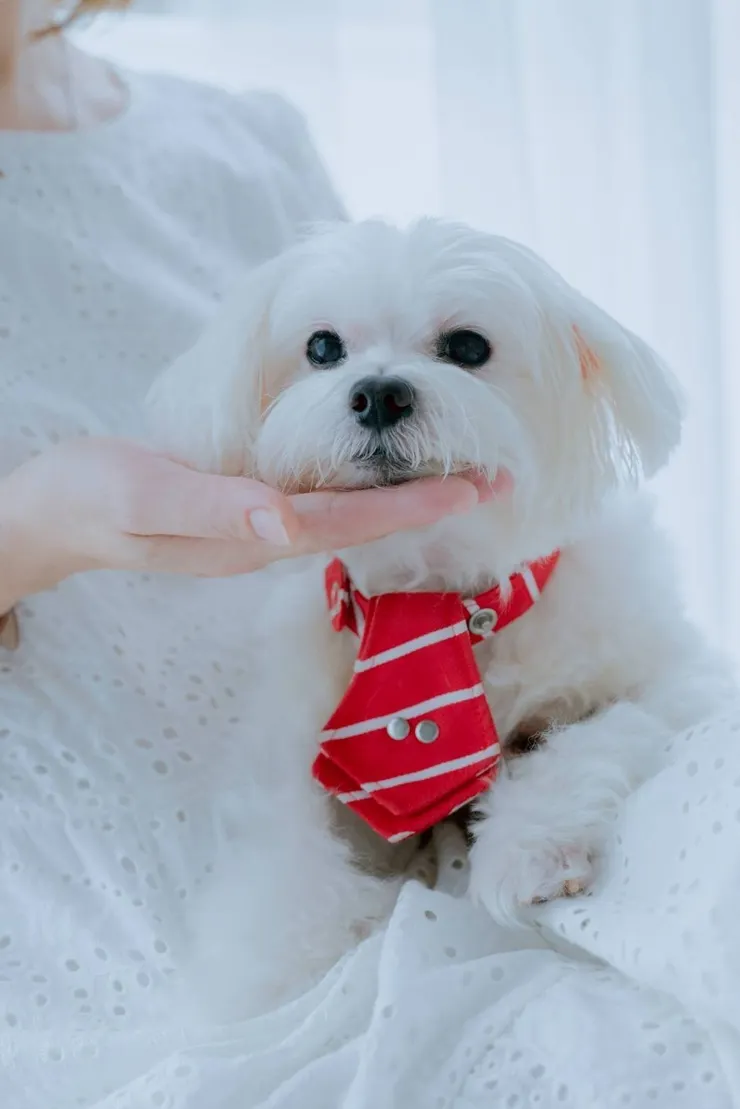 龍龍永遠像個孩子，被媽媽呵護著(龍龍媽媽提供)