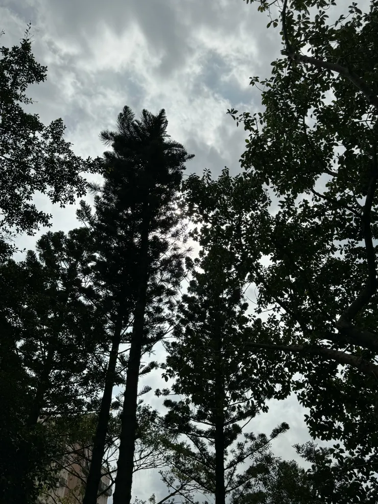 我來人間一趟~漫漫拍攝