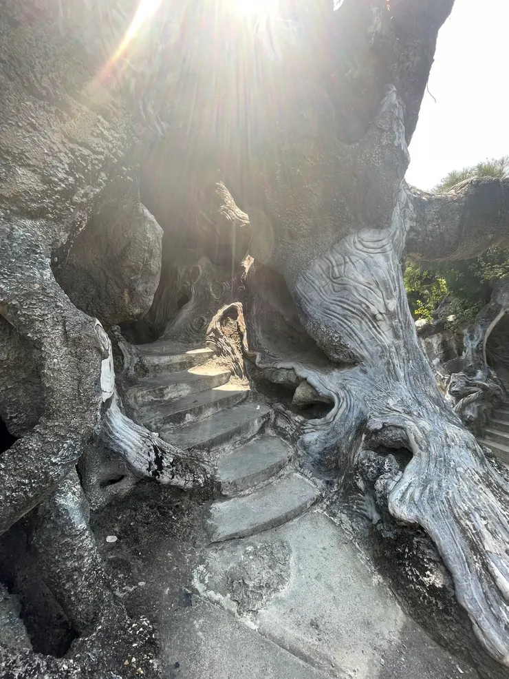 一直繞啊繞的注意頭頂