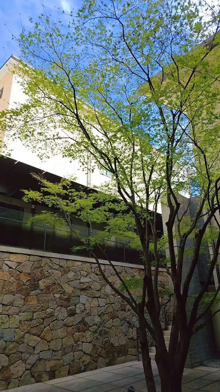 博物館內別有洞天