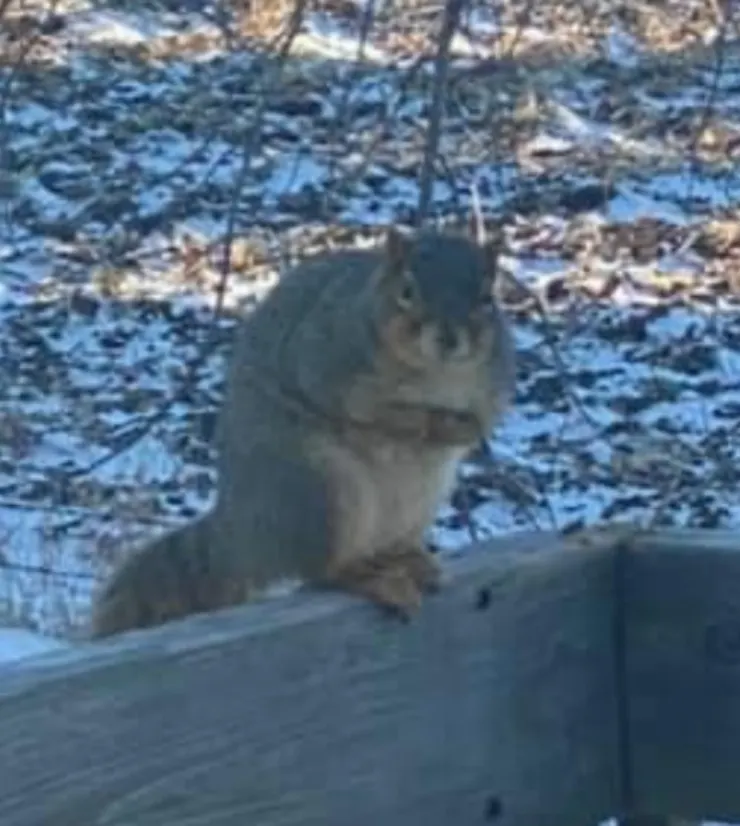 我看到了一個光，而那個光也照耀著我