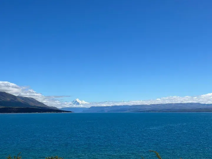 Mt Cook Alpine Salmon Shop
