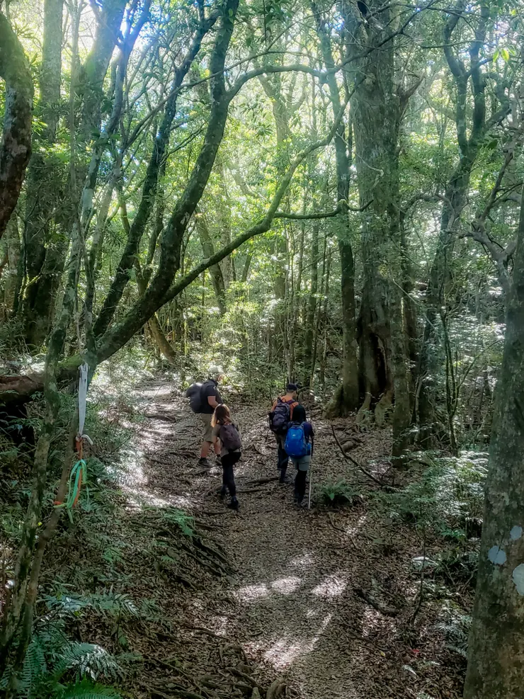 不急不徐漫步中