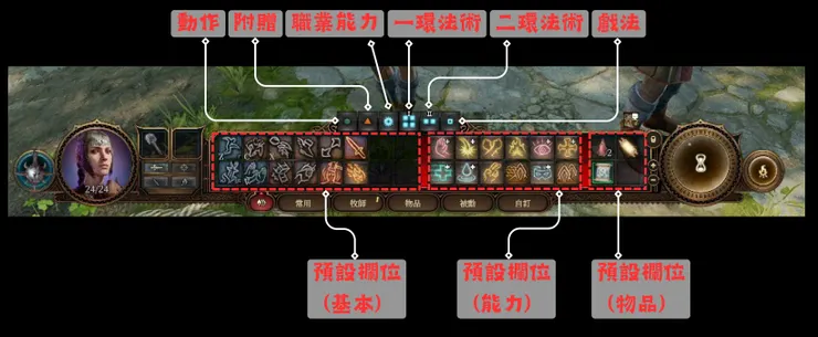 分門別類的欄位選項