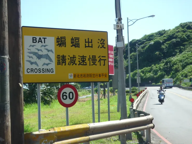蝙蝠出沒，請減速慢行！