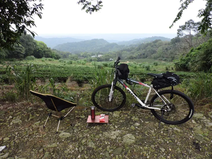 路邊茶園小憩