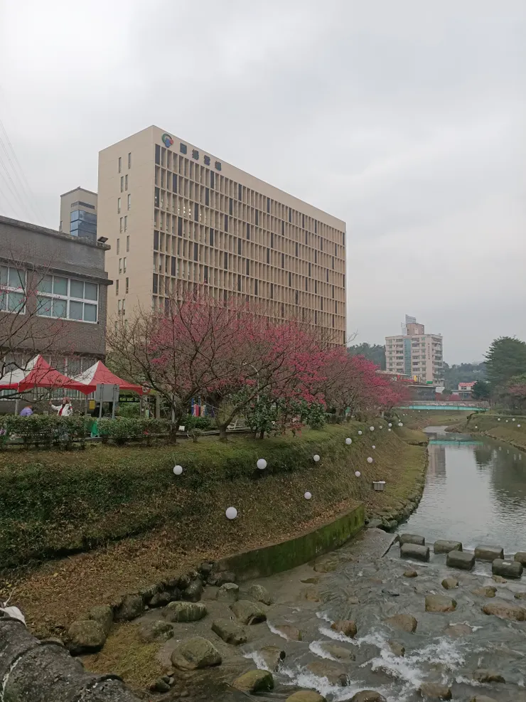 河堤上，只有一邊的櫻花，開的比較多。旁邊的棚子，是有農產品市集可以逛。