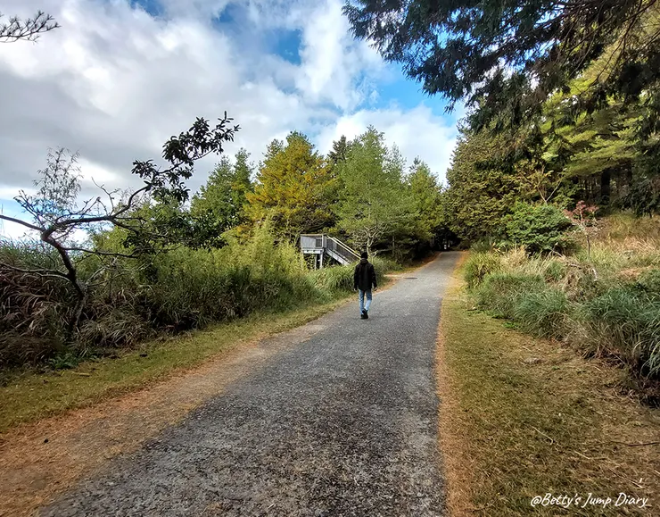 ▲台中「大雪山國家森林遊樂區」/圖片來源：Betty's Jump Diary