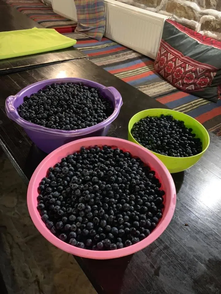 採的葡萄要做成果醬