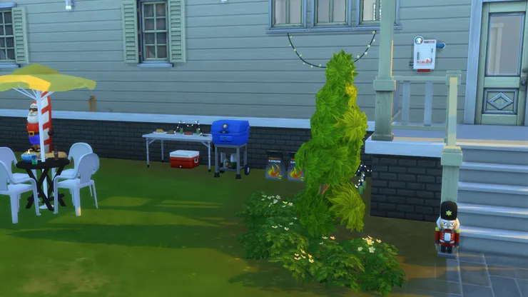 這邊便是後院,已經準備好燒烤設備了。