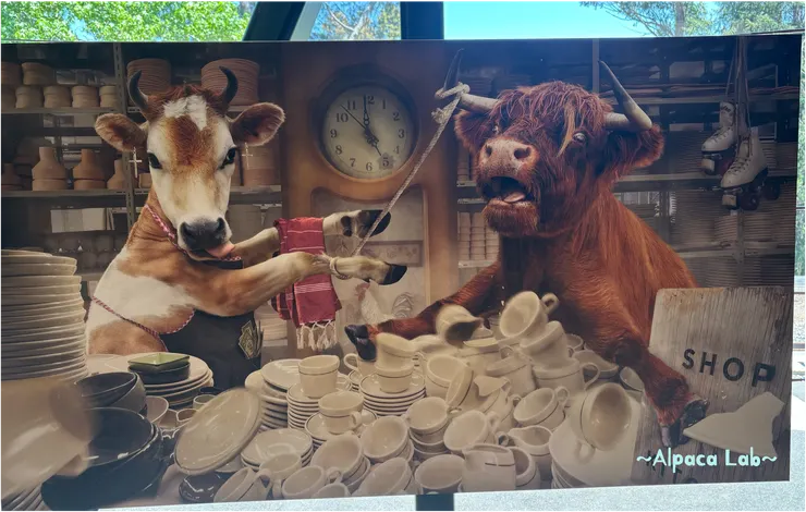 展演空間內的畫作，超級可愛XD