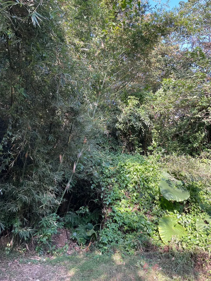 鑽出香圓窩山回望