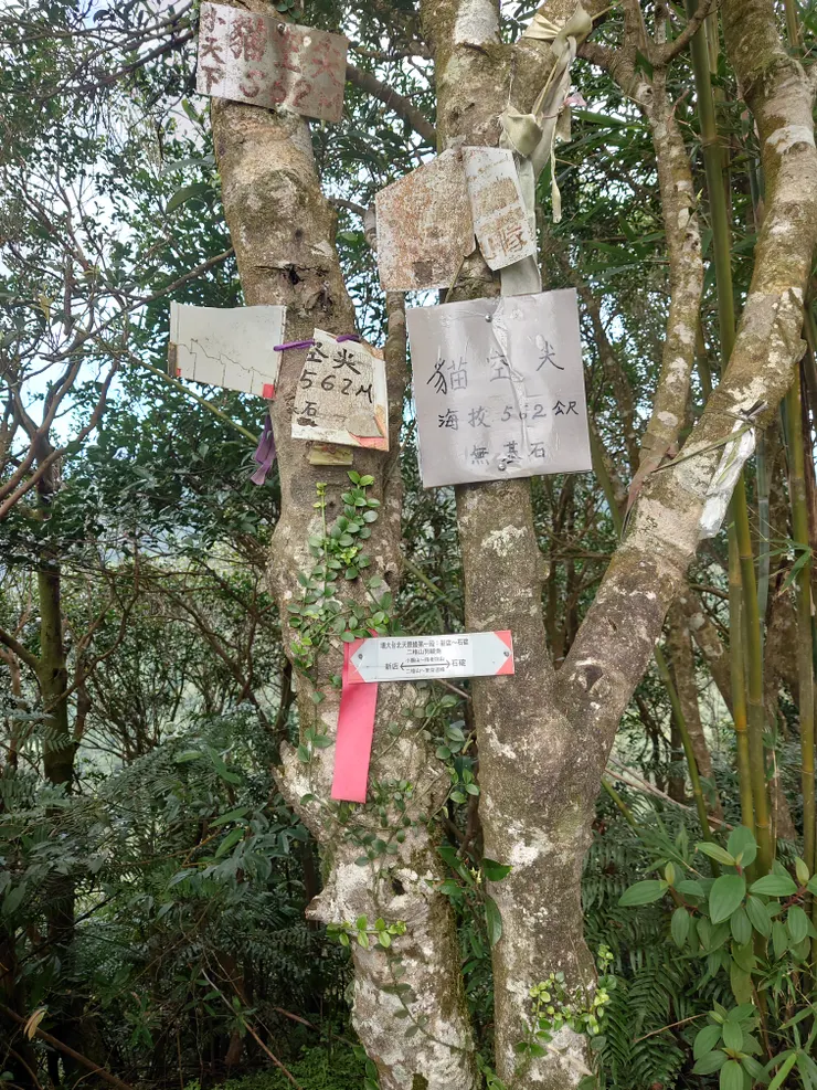 9/13，貓空尖，無三角點