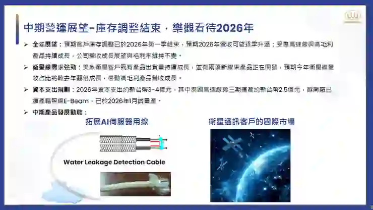 資料來源:2026.03法說會簡報
