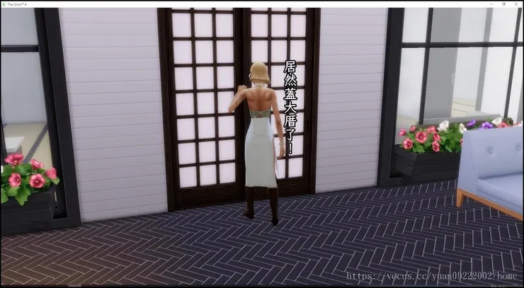 每日一訪的南希(大多數被關在外面)