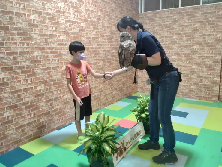 工作人員指引讓貓頭鷹停留在手臂上