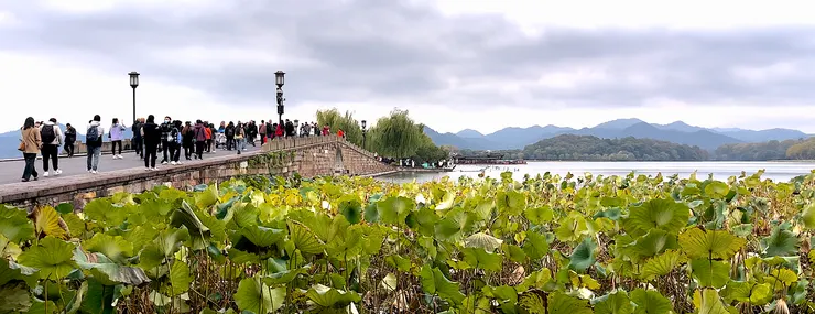 圖 YHCC@杭州.西湖白堤 NOV2023