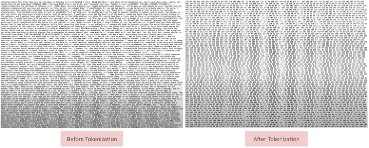 對資料集做 Tokenization 前與後