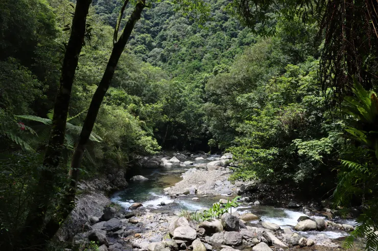 一路沿溪而行,兩側群山綠帶夾道,桶後河景藍帶沿途相伴