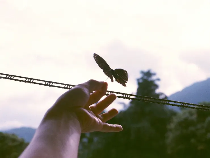 photo by : 謝明澄