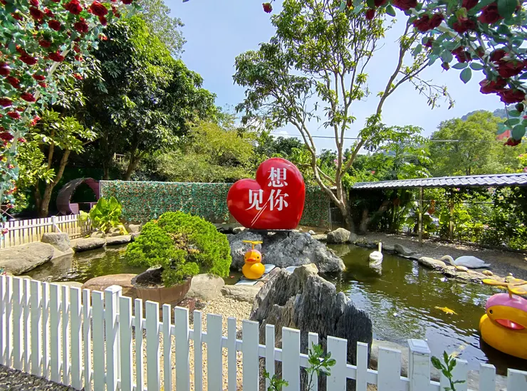 有黃色小鴨跟大白鵝