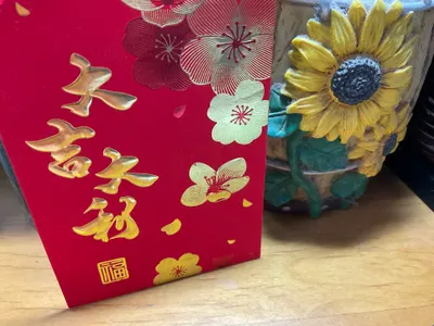 長大之後才知道，向日葵結出來的果子不是橘子🍊