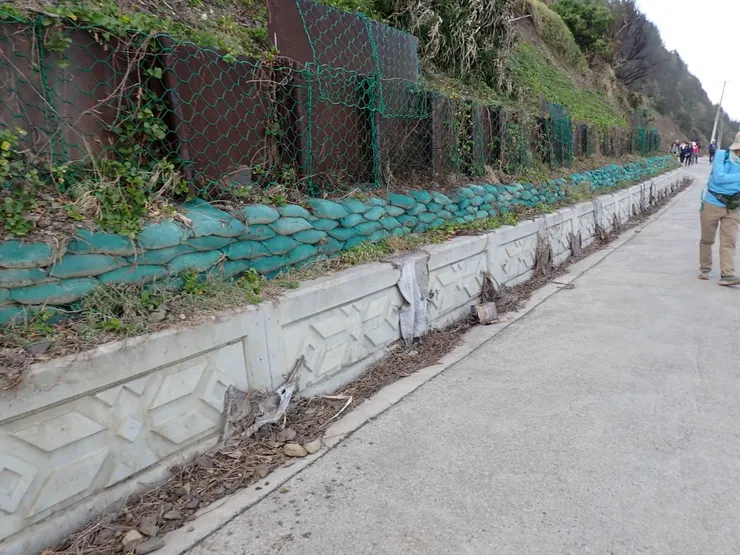 旭海段的水泥路，陸蟹無法攀爬