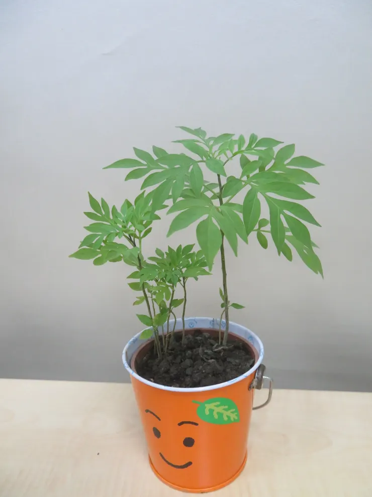 新莊農會112.09.25