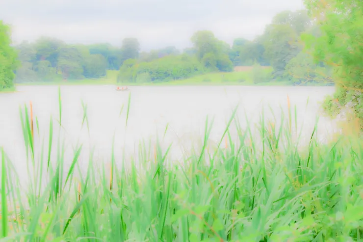 布雷尼宮旁水面上一景