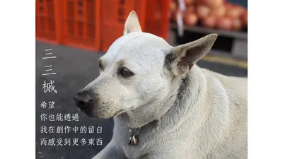 IG與部落格將會同步發布最新貼文