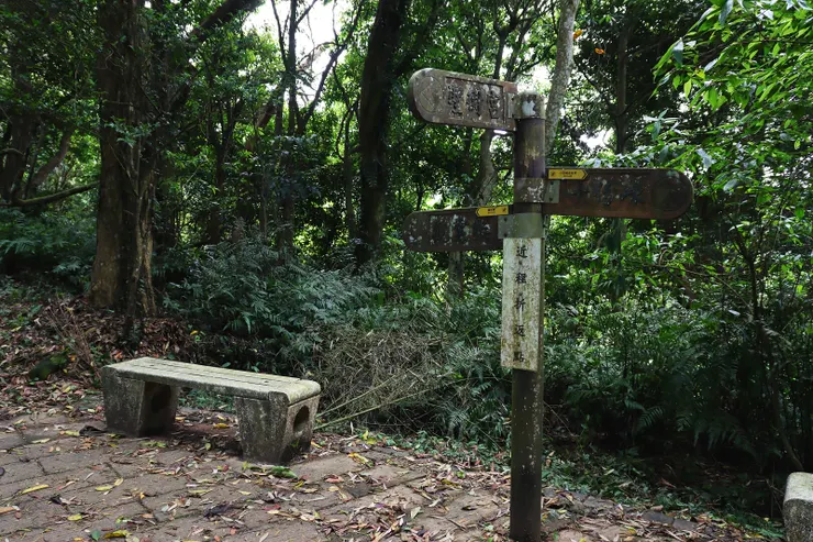 ▲近程折返點（如果是規劃由薑麻園起登，可視自身情況決定折返時間）