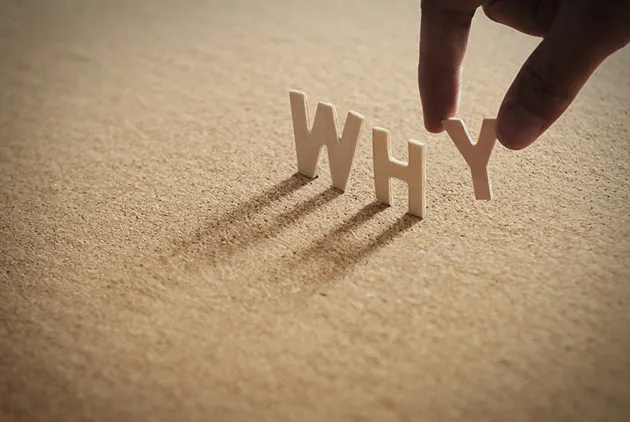 photo by shutterstock