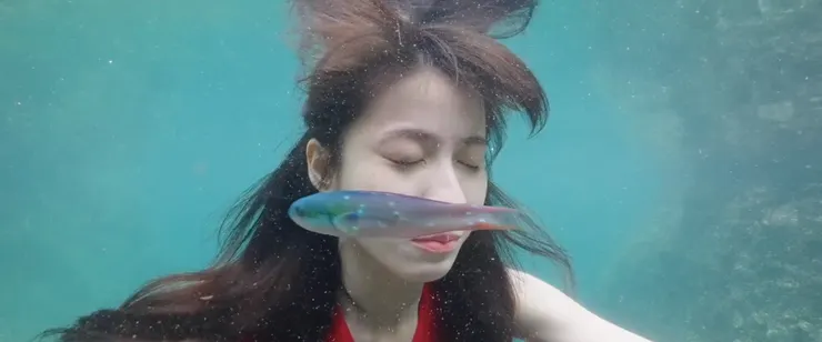 綠島原生的魚彷彿在陪伴著悲傷的陳萍