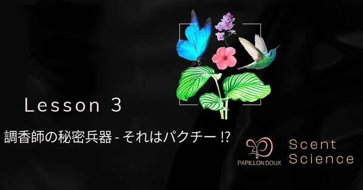 調香師の秘密兵器 - それはパクチー!?
