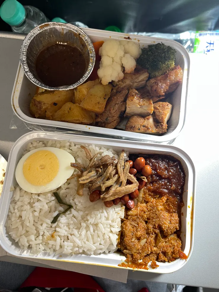 上面--黑胡椒醬烤雞；下面--帕南薩馬來椰漿飯