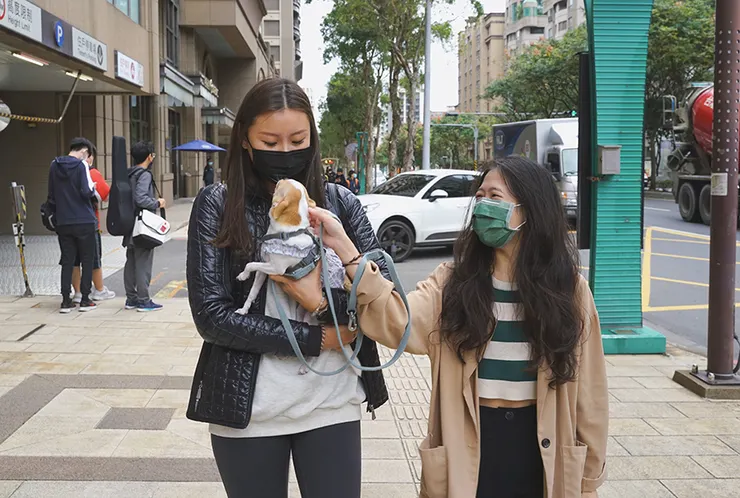 幼犬黃金期寵物行為訓練、社會化訓練