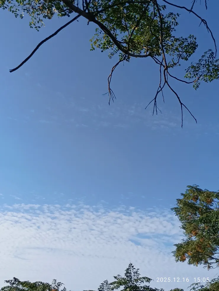 黛雲遠淡誰為主