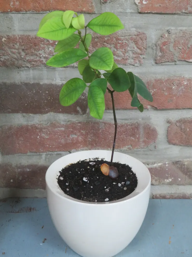 淡水社大110.10.05