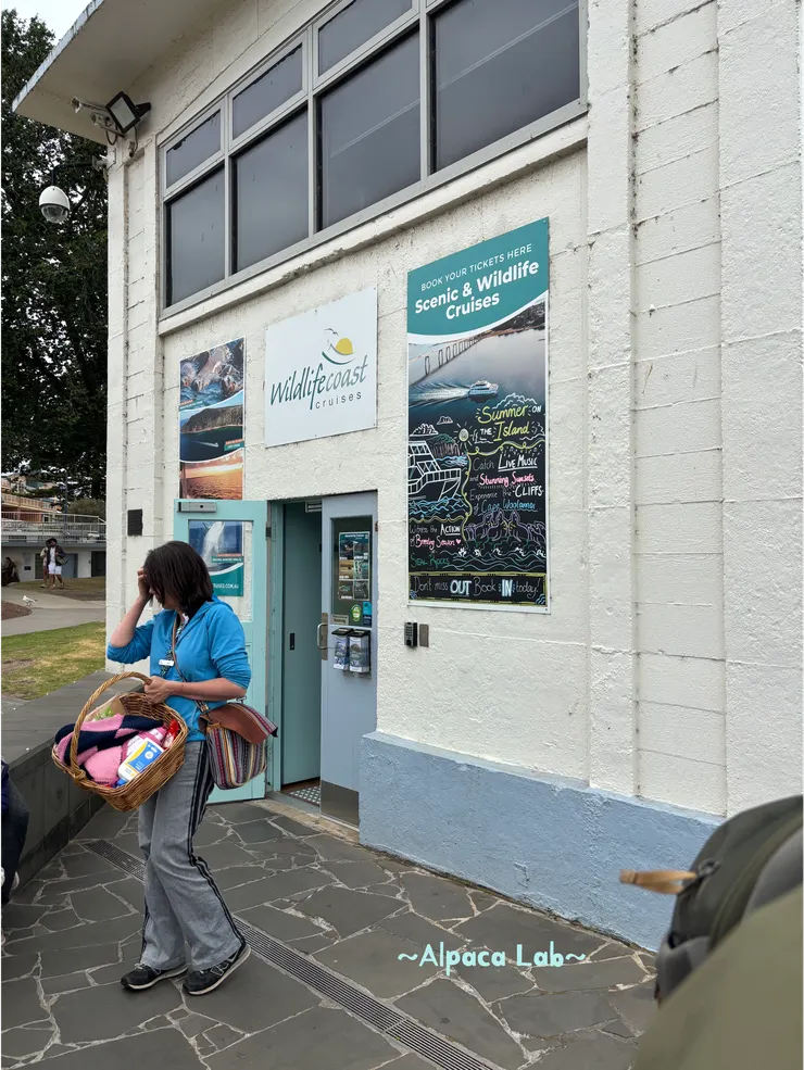 港口旁購票站,如果沒有網路訂票可以來這邊詢問歐