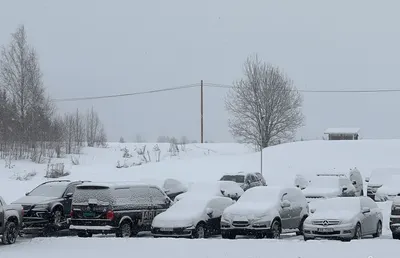 chang vivian 的汽車市場分析