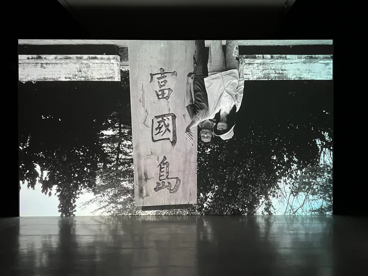 《富國島》中上下顛倒的世界