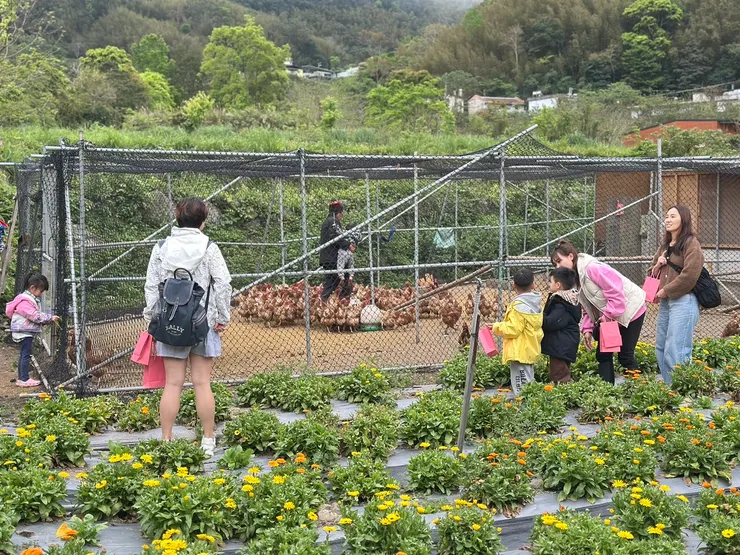 撿雞蛋活動相當熱門，建議早點去才不會額滿