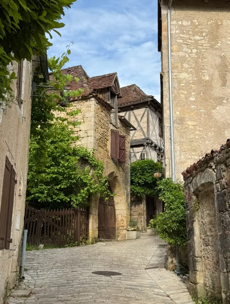 每天，我來來回回走過的巷弄