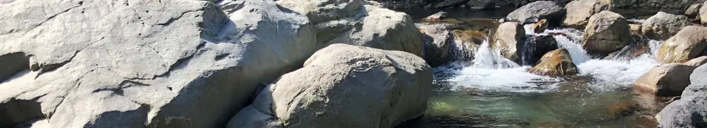 咖啡馬武督的沙龍