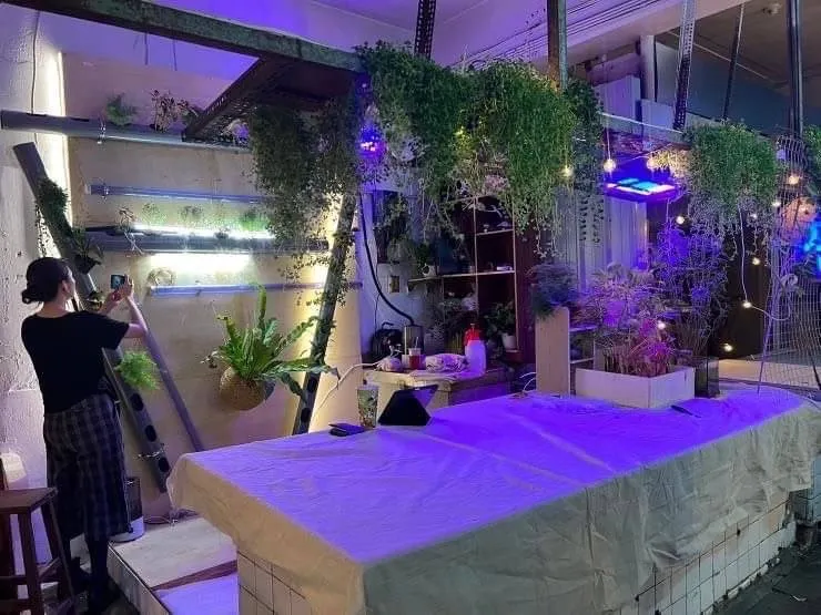 東市場改造計畫」以實驗美學的構想改變魚市場攤位