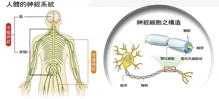 圖片來源：全民健康基金會