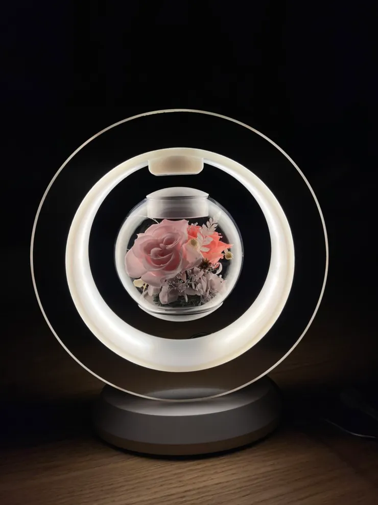 永生花懸浮燈飾