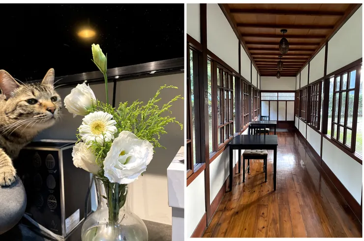 左邊是在台中買的花花，右邊是紀州庵的一隅